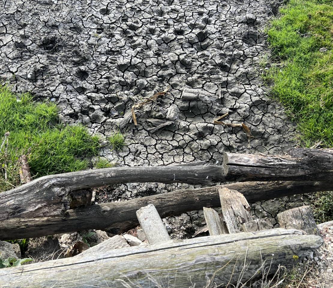 Moldova Frees its Rivers: Dam Removals Mark Important Step for Water Resilience